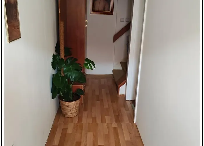 Iris * Мирослав